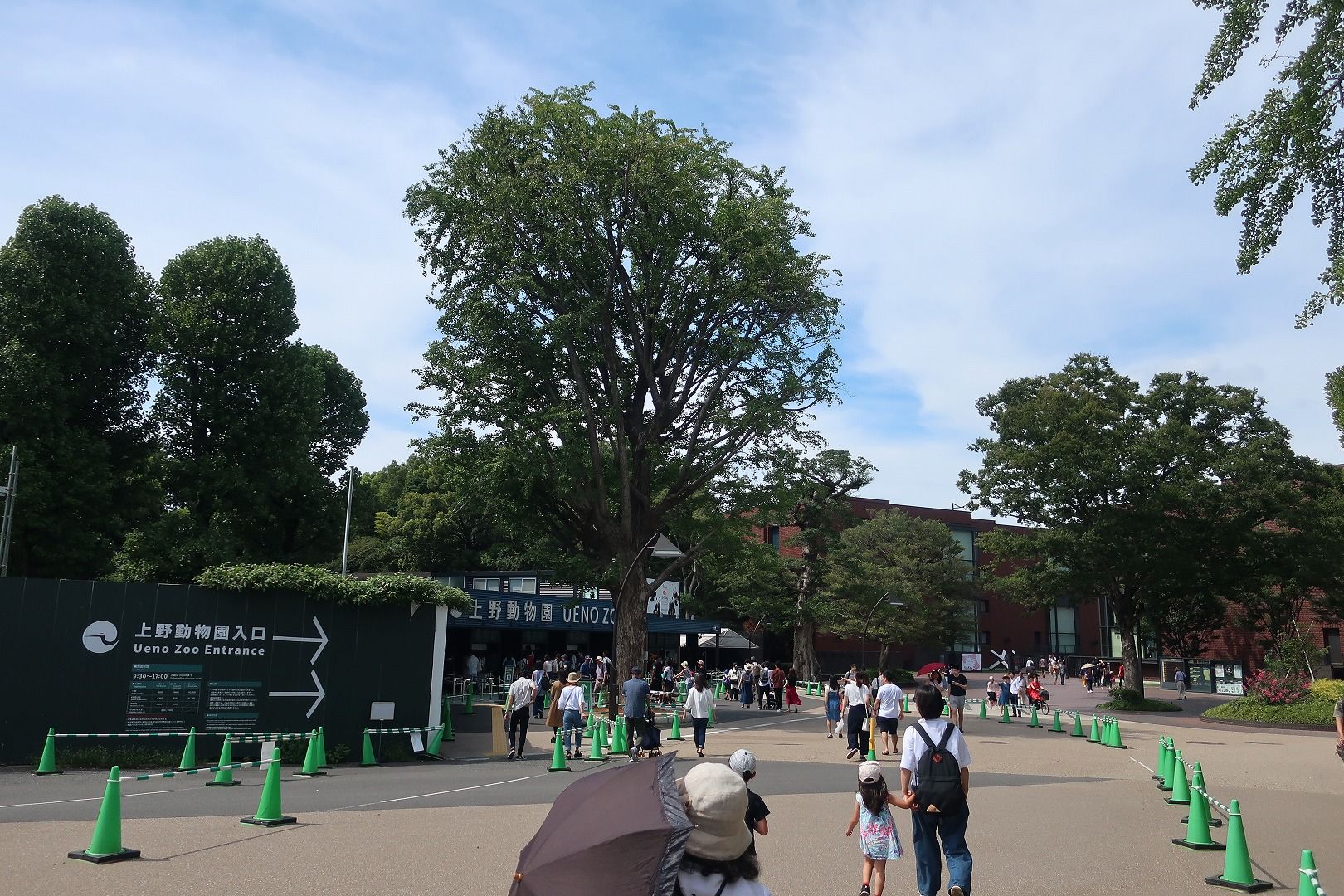 上野動物園にパンダを見に行ったけど ゾウさんで満足した日 碧い空と本当の気持ち 上野動物園にパンダを見に行ったけど ゾウさんで満足した日 碧い空と本当の気持ち