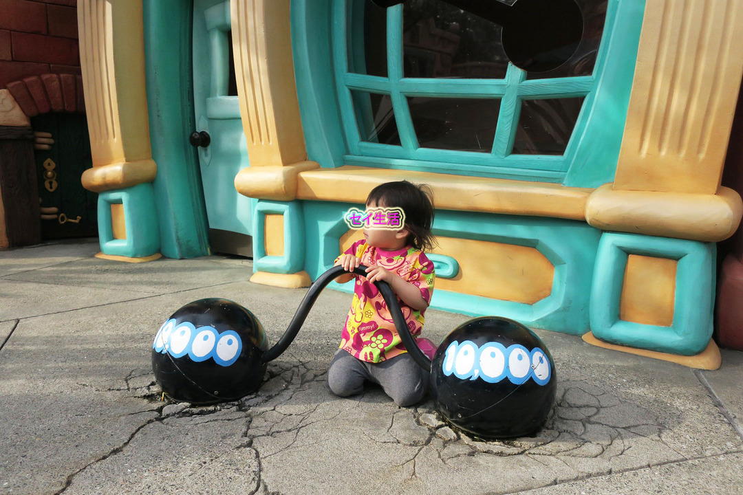 ディズニーランド (24)
