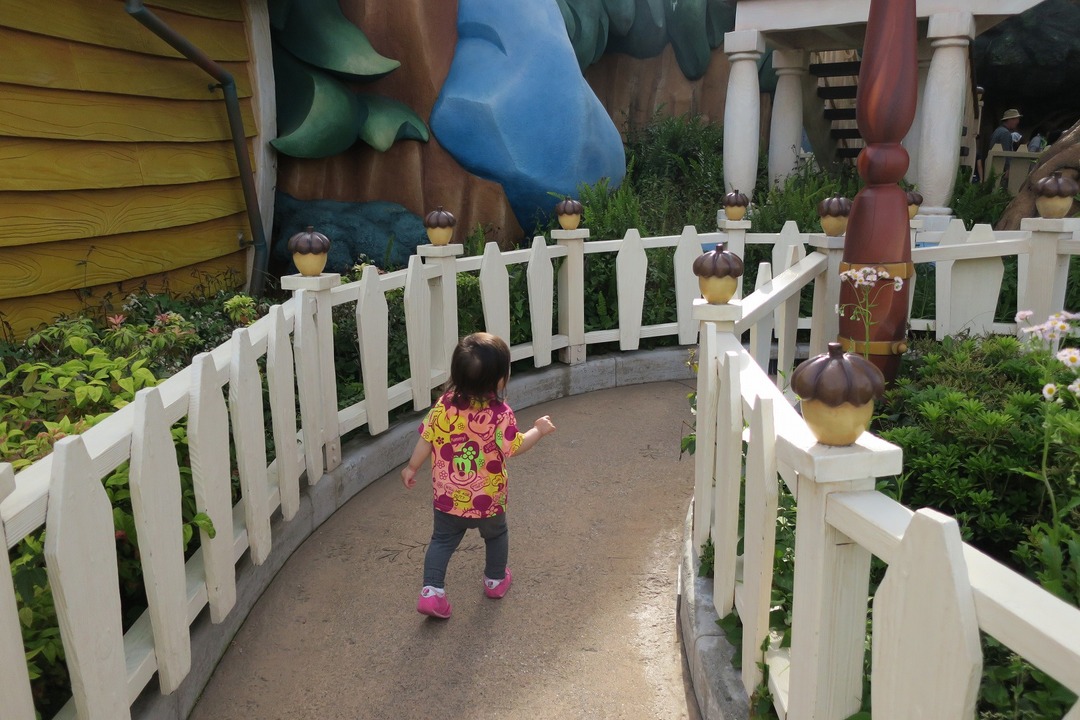 ディズニーランド (12)