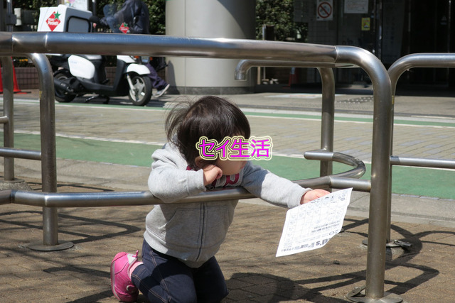 砂町銀座 (8)