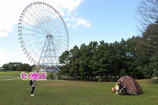 葛西臨海公園でテント (6)