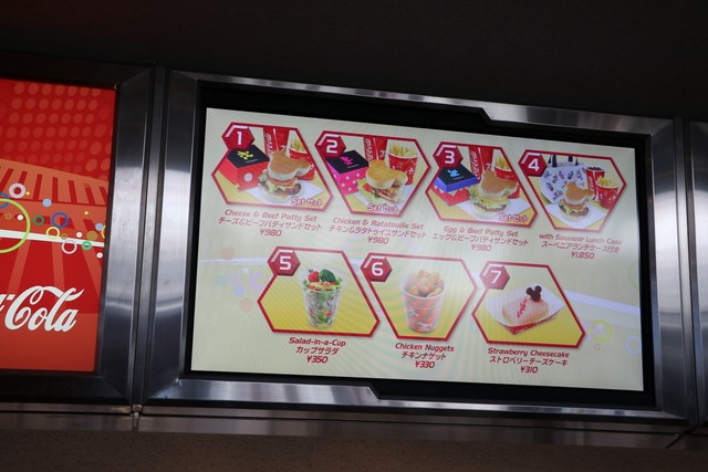 ディズニーランド (12)