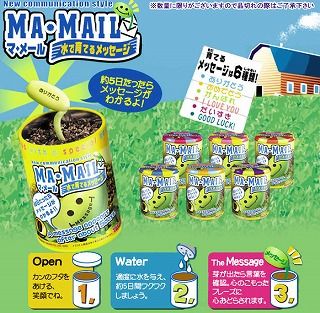 参考マメール