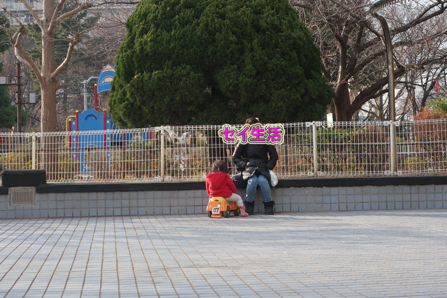砂町銀座から図書館から公園 (28)