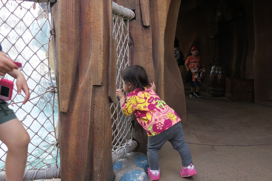 ディズニーランド (20)