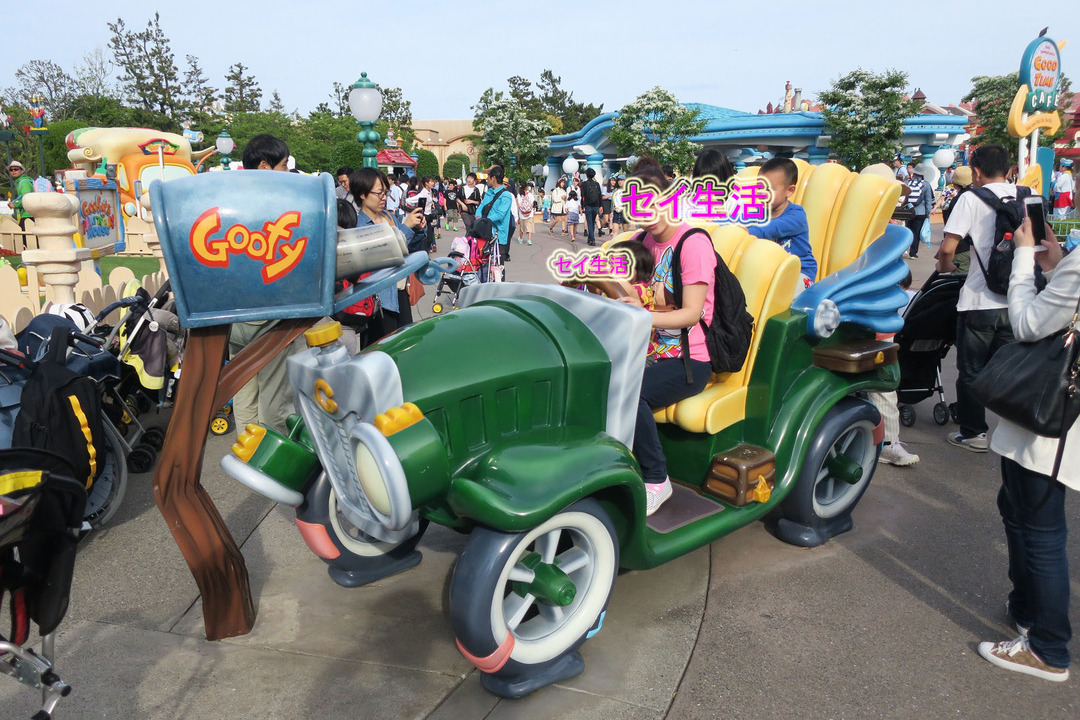 ディズニーランド (21)