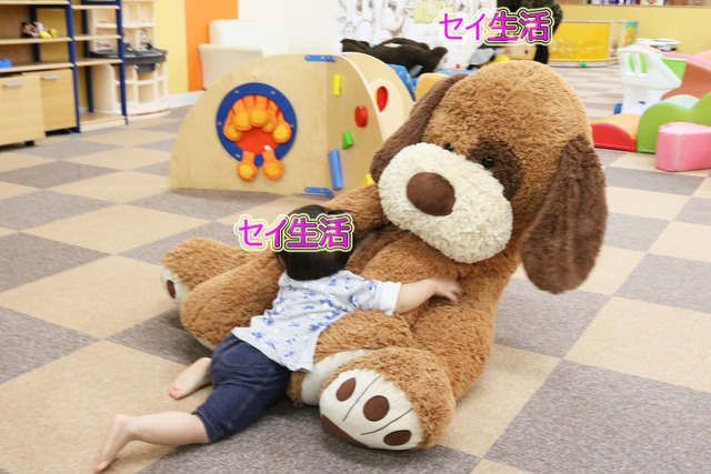 915bd8d6.jpg