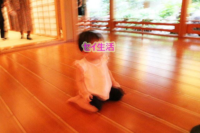 92281971.jpg