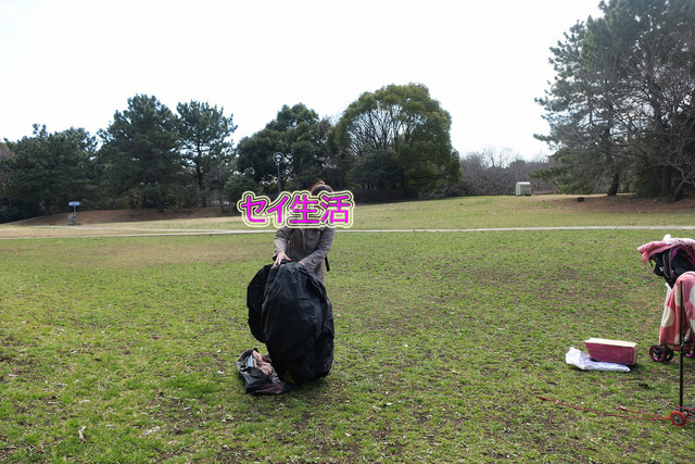 葛西臨海公園でテント (4)