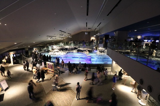 すみだ水族館 (22)