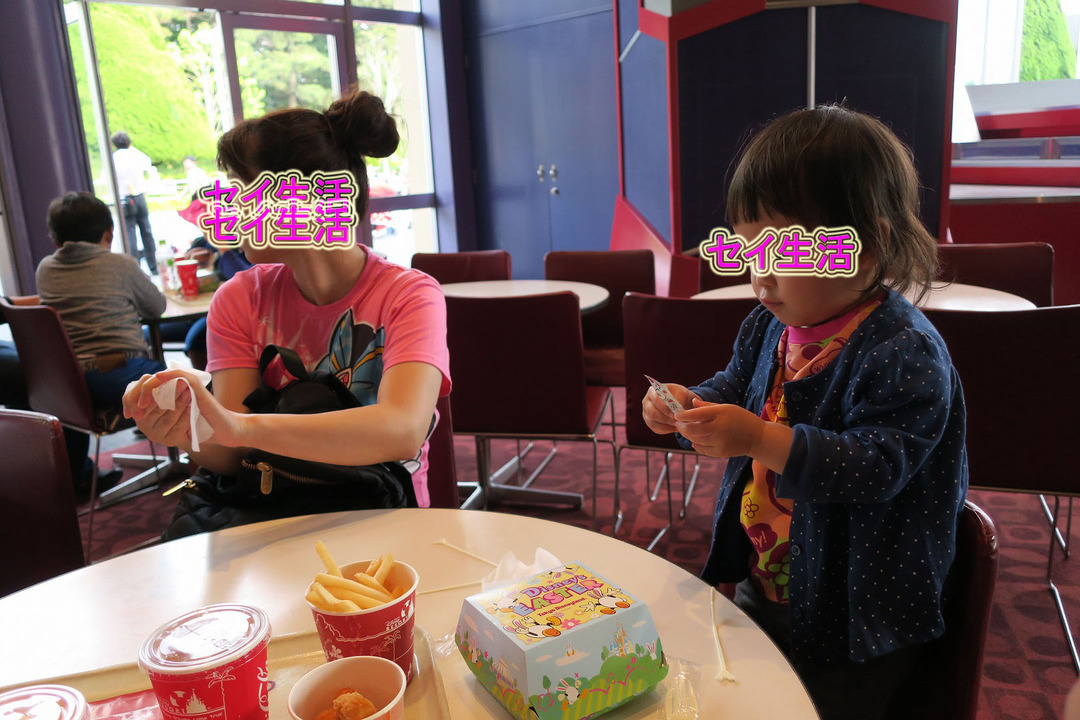 ディズニーランド (27)