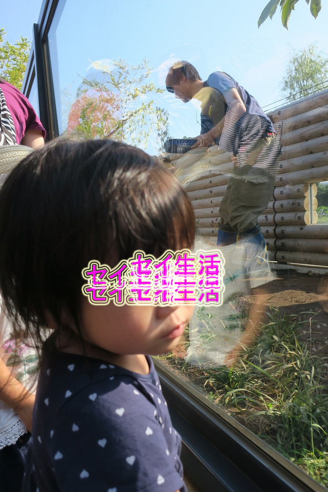 上野動物園 (8)