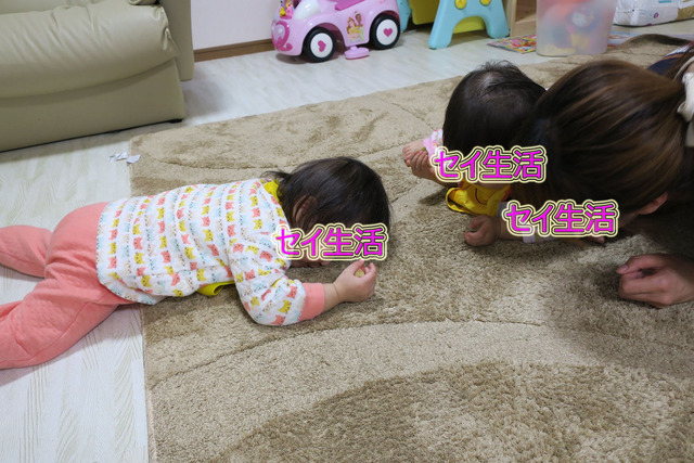 ひなまつり (6)