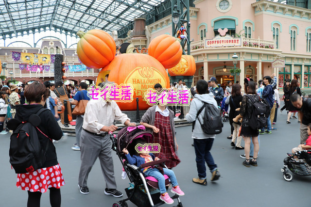 ディズニーランド (4)