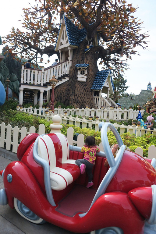 ディズニーランド (11)