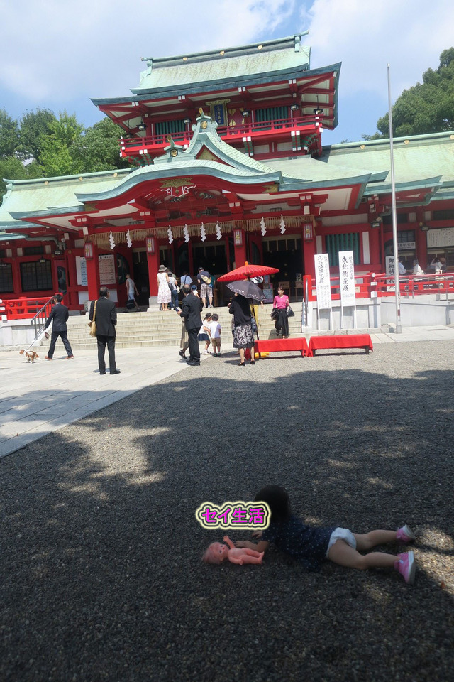富岡八幡宮 (7)