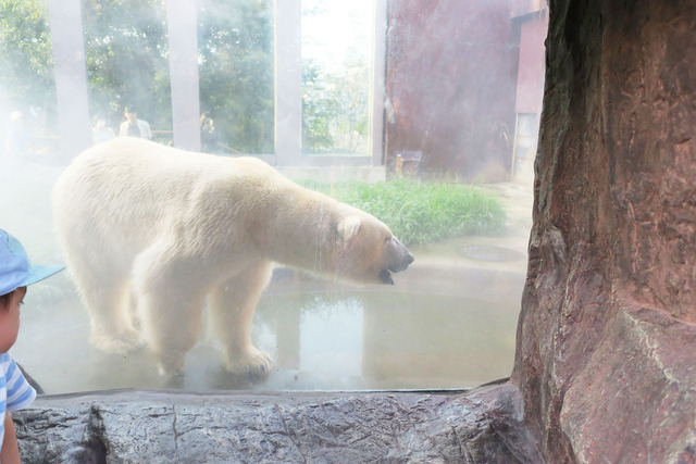 上野動物園 (18)