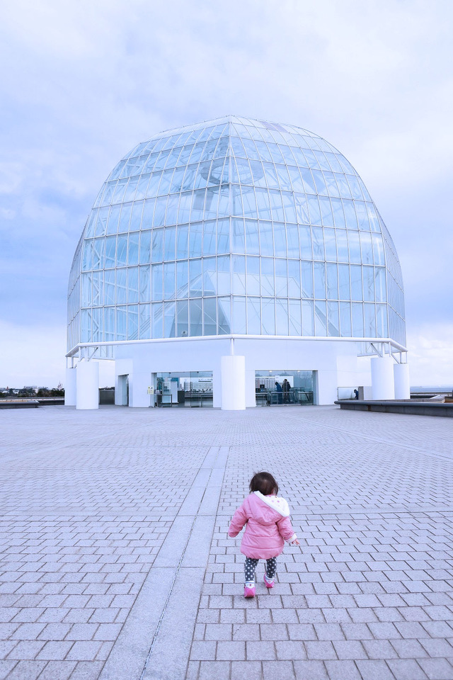 葛西臨海公園水族館 (7)