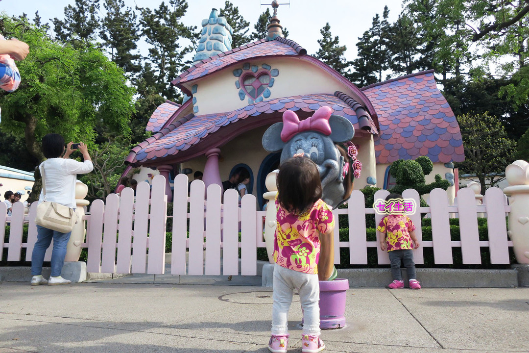 ディズニーランド (10)