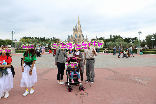 ディズニーランド (5)