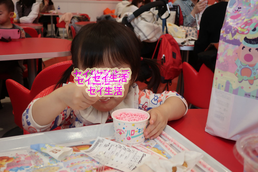 サンリオピューロランド (21)