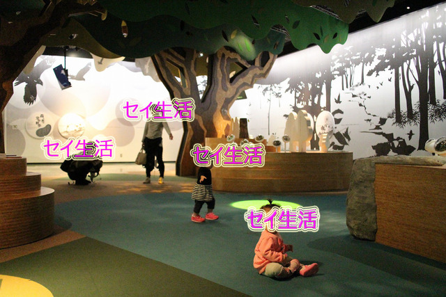 f041c1b7.jpg