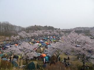 DRAGON WAVE2000 Final (6)