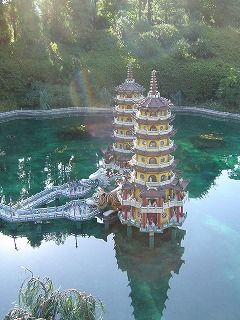 虎