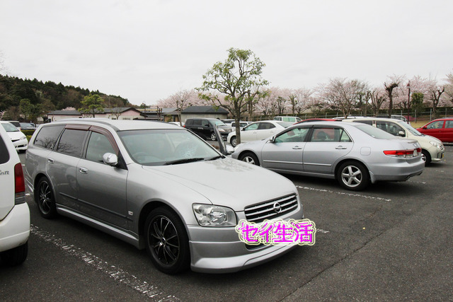 0afe157d.jpg