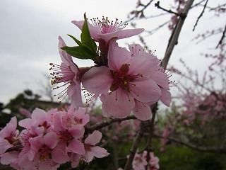 R0011055