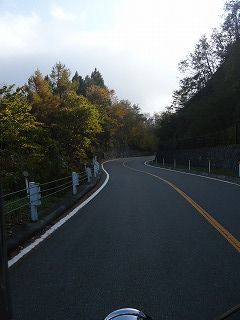 奥多摩周遊道路