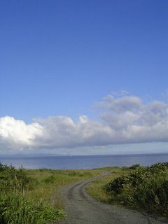 海へ続く道