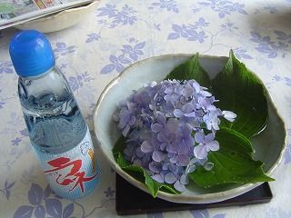 紫陽花とラムネ