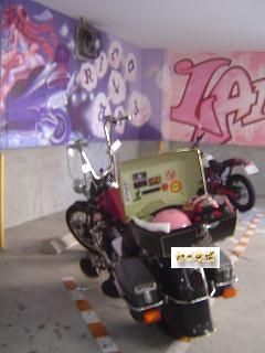 STEED600
