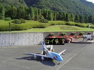 セイと飛行機