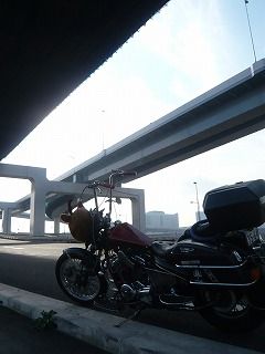 STEEDと高架下