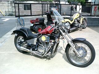 スティード600と風防