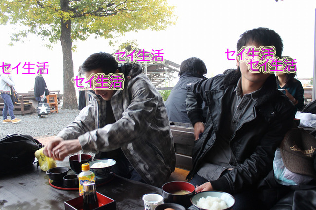 30f3c62d.jpg
