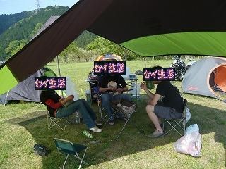 タープ
