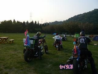 ピカ後ろ姿