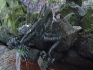 龍