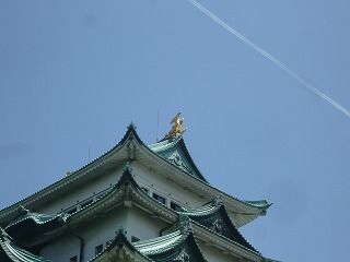 鯱