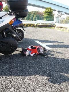どん兵衛003