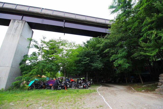 487d1fc0.jpg