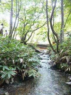 沢