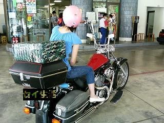 箱とスティード
