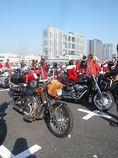 トナカイSTEED