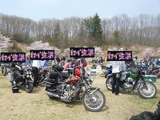 ドラゴンウェーブファイナル (11)
