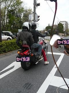 見送りSTEED