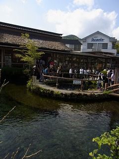 忍野八海 (2)